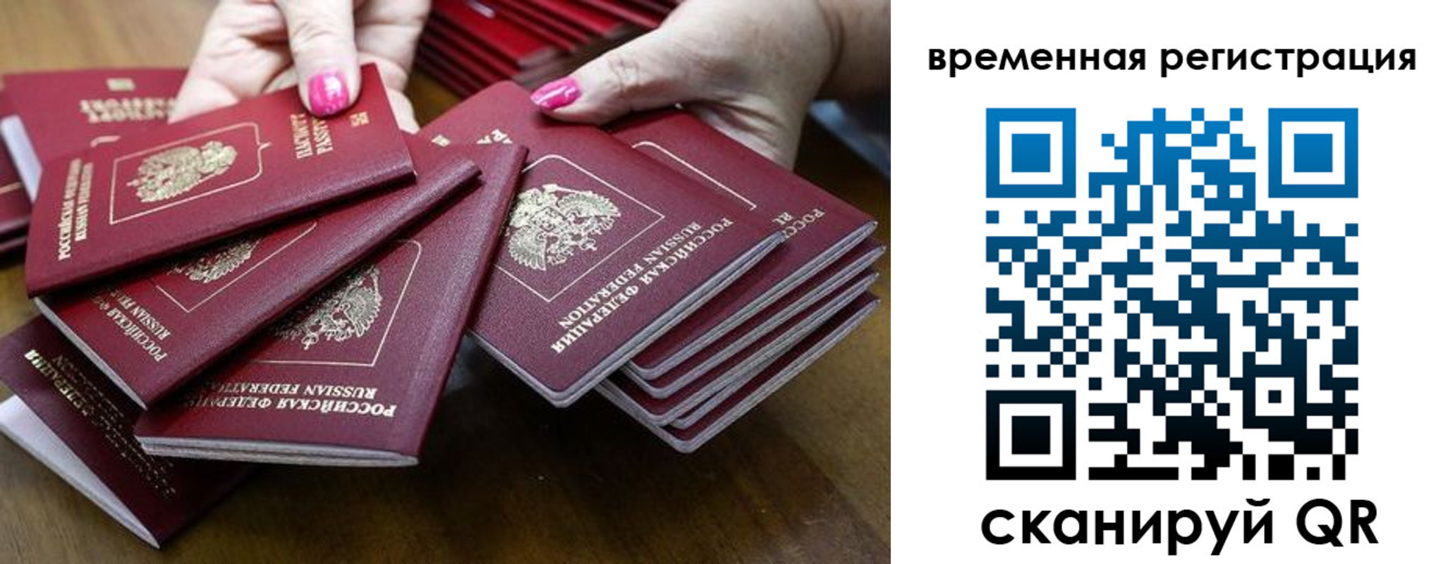 временная регистрация поиск в Покрове